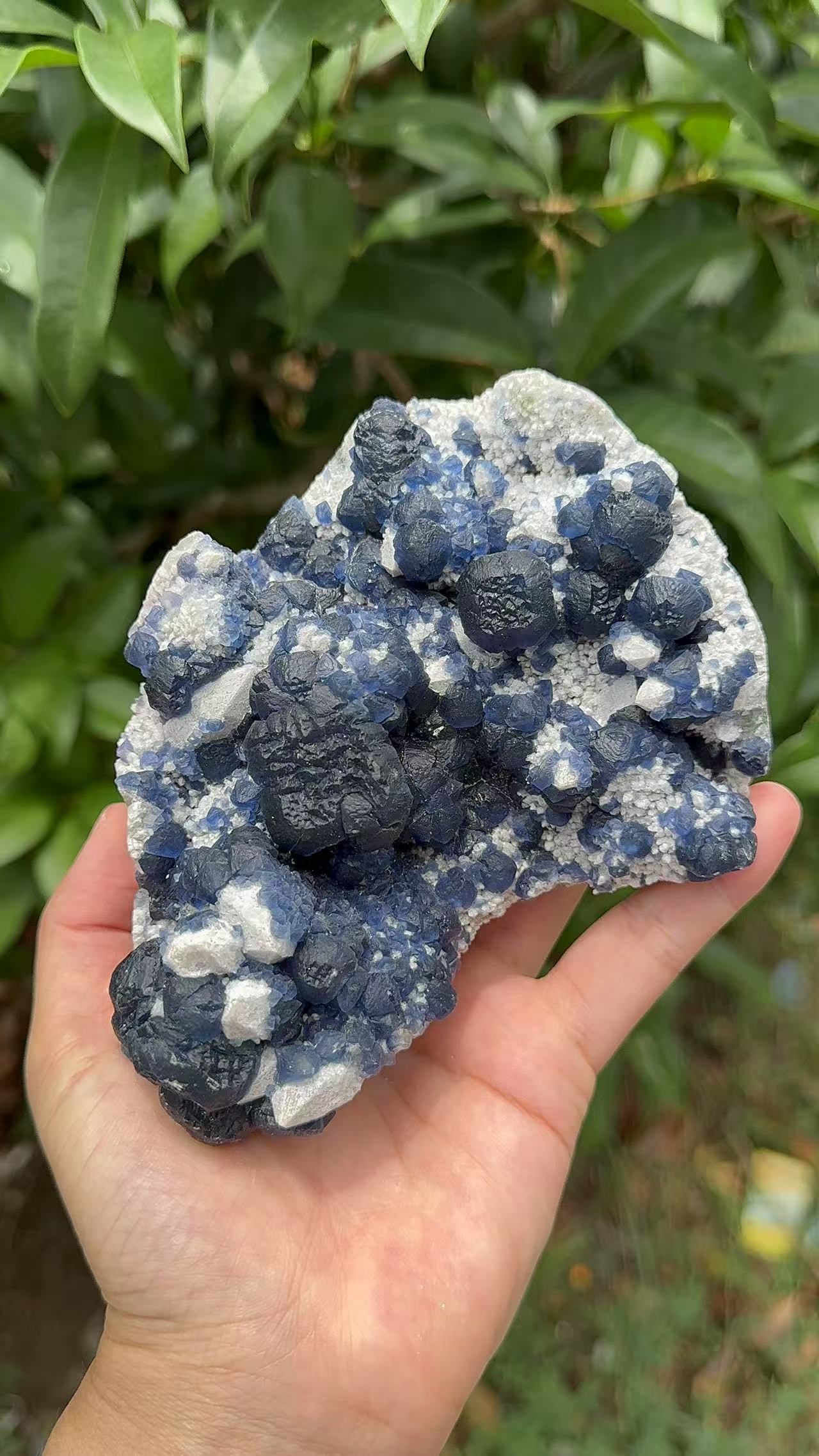 A00117 natural RARE HIGHER QUALITY BLUEberryfluorite mixed candle quartz