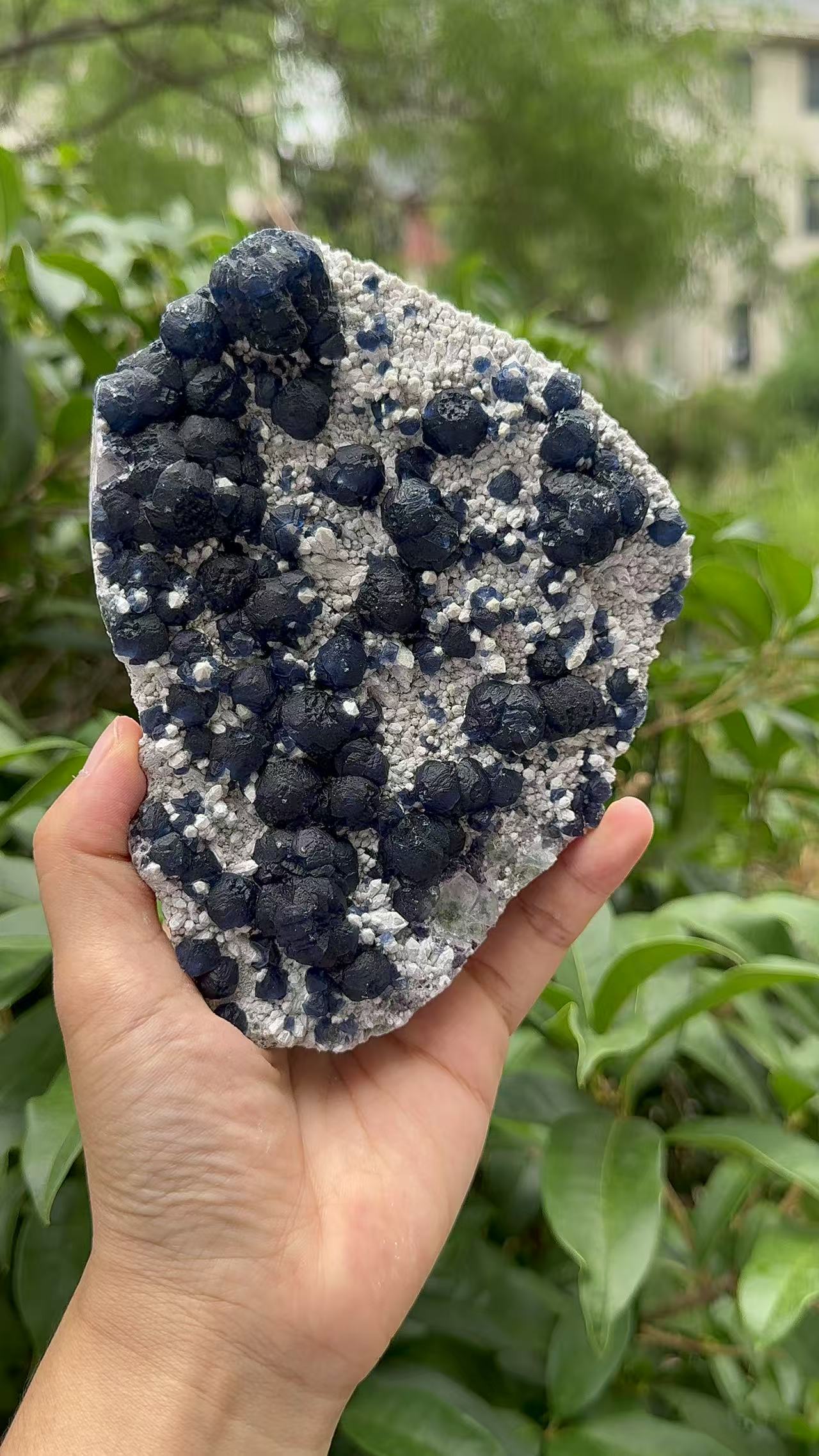 A00118 natural RARE HIGHER QUALITY BLUEberryfluorite mixed candle quartz