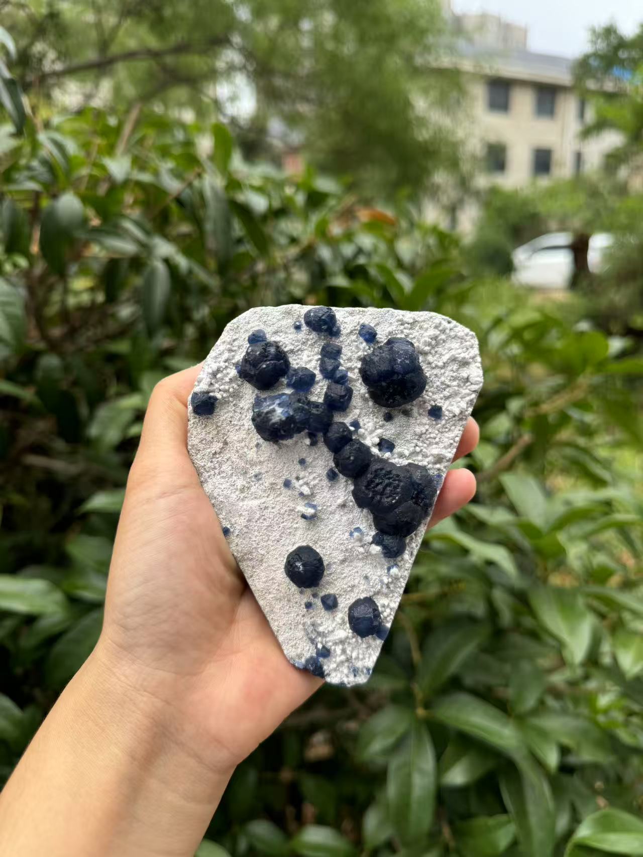 A00118 natural RARE HIGHER QUALITY BLUEberryfluorite mixed candle quartz