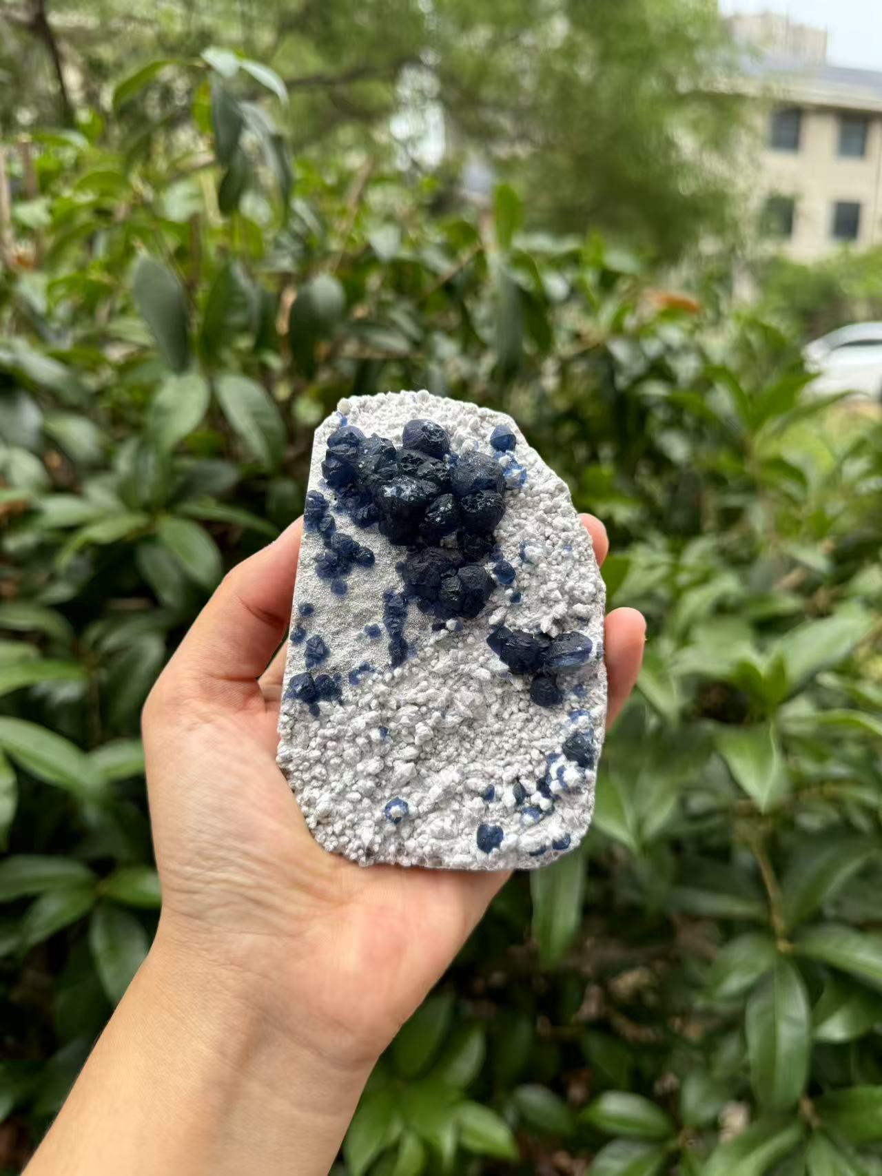 A00118 natural RARE HIGHER QUALITY BLUEberryfluorite mixed candle quartz