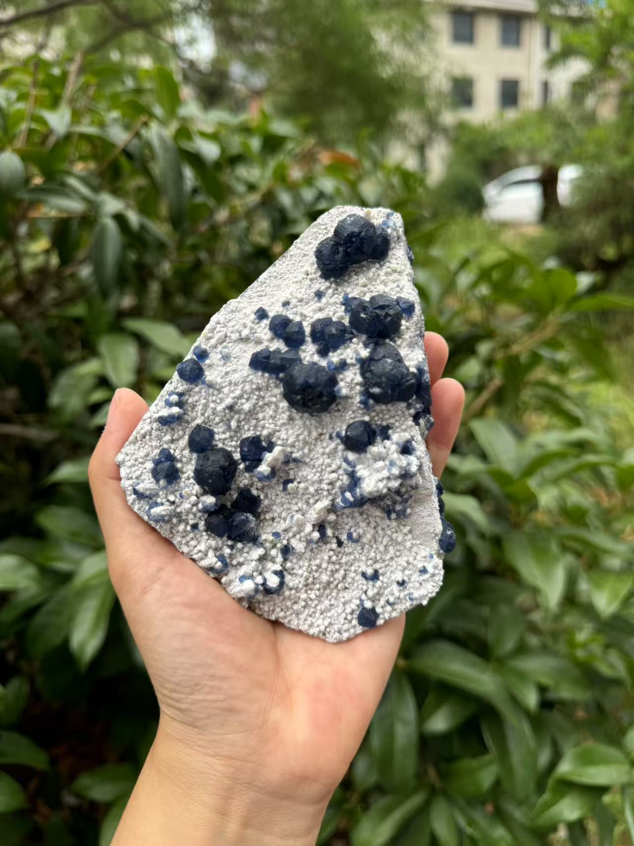 A00118 natural RARE HIGHER QUALITY BLUEberryfluorite mixed candle quartz