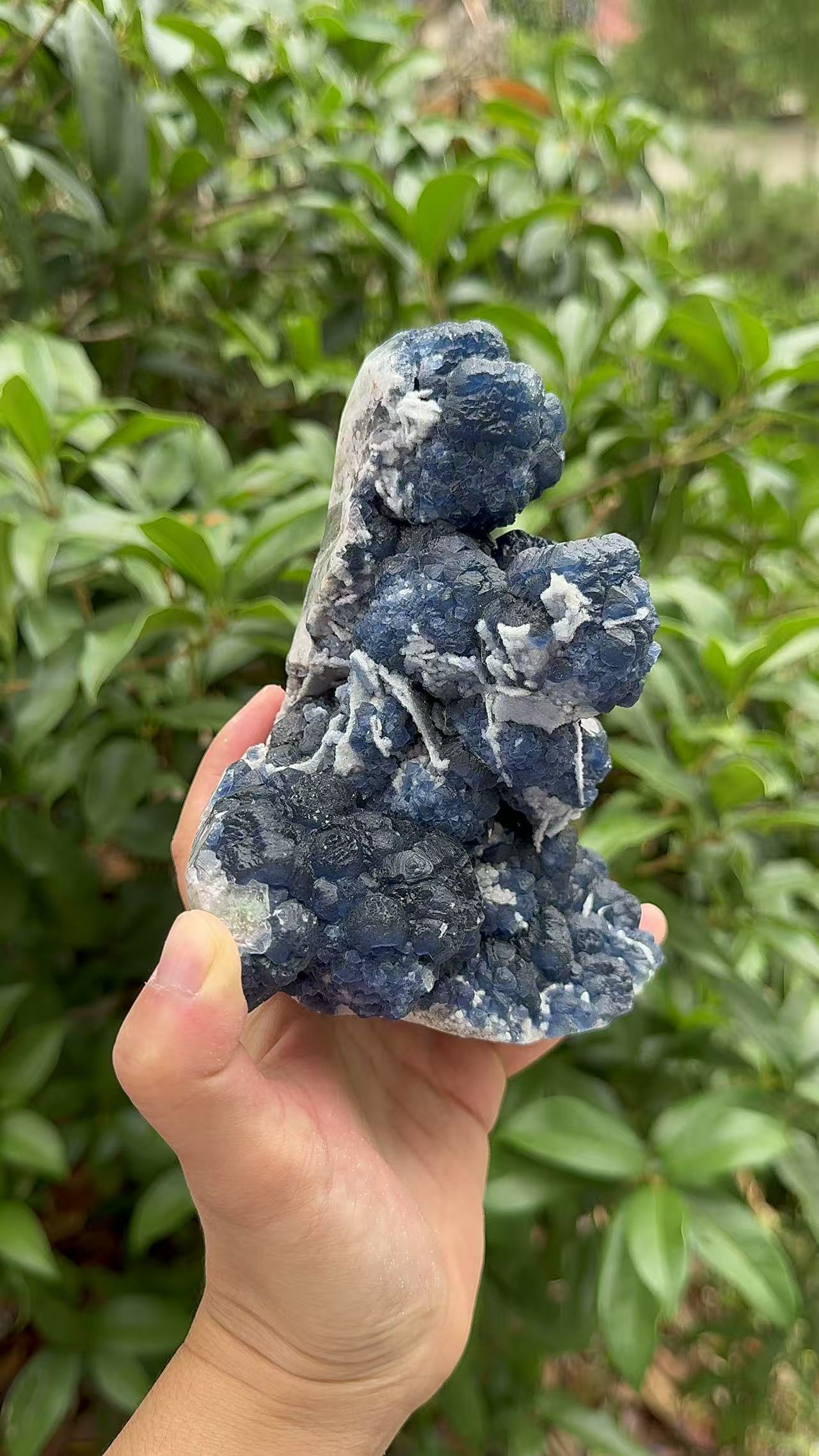 A00119 natural RARE HIGHER QUALITY BLUEberryfluorite mixed candle quartz