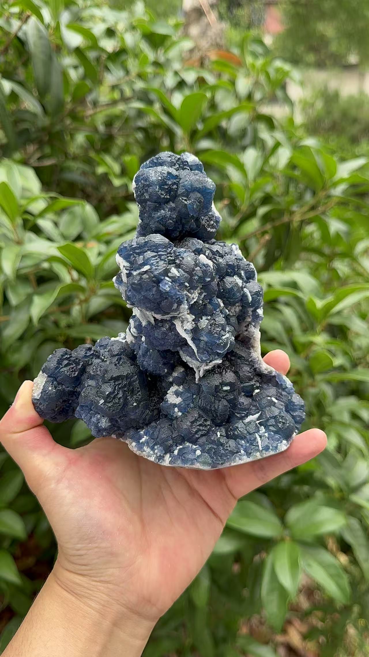 A00119 natural RARE HIGHER QUALITY BLUEberryfluorite mixed candle quartz