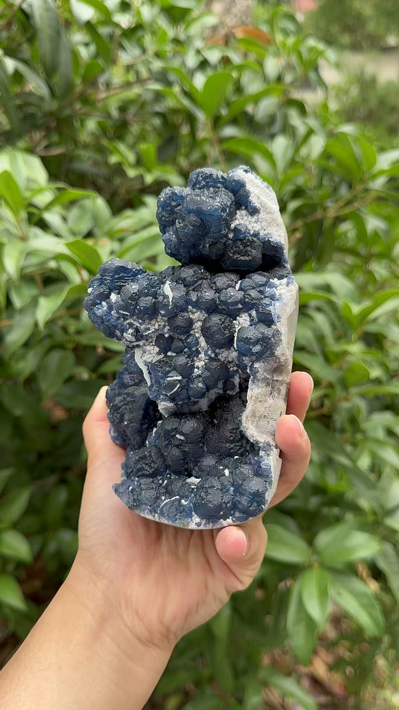 A00119 natural RARE HIGHER QUALITY BLUEberryfluorite mixed candle quartz