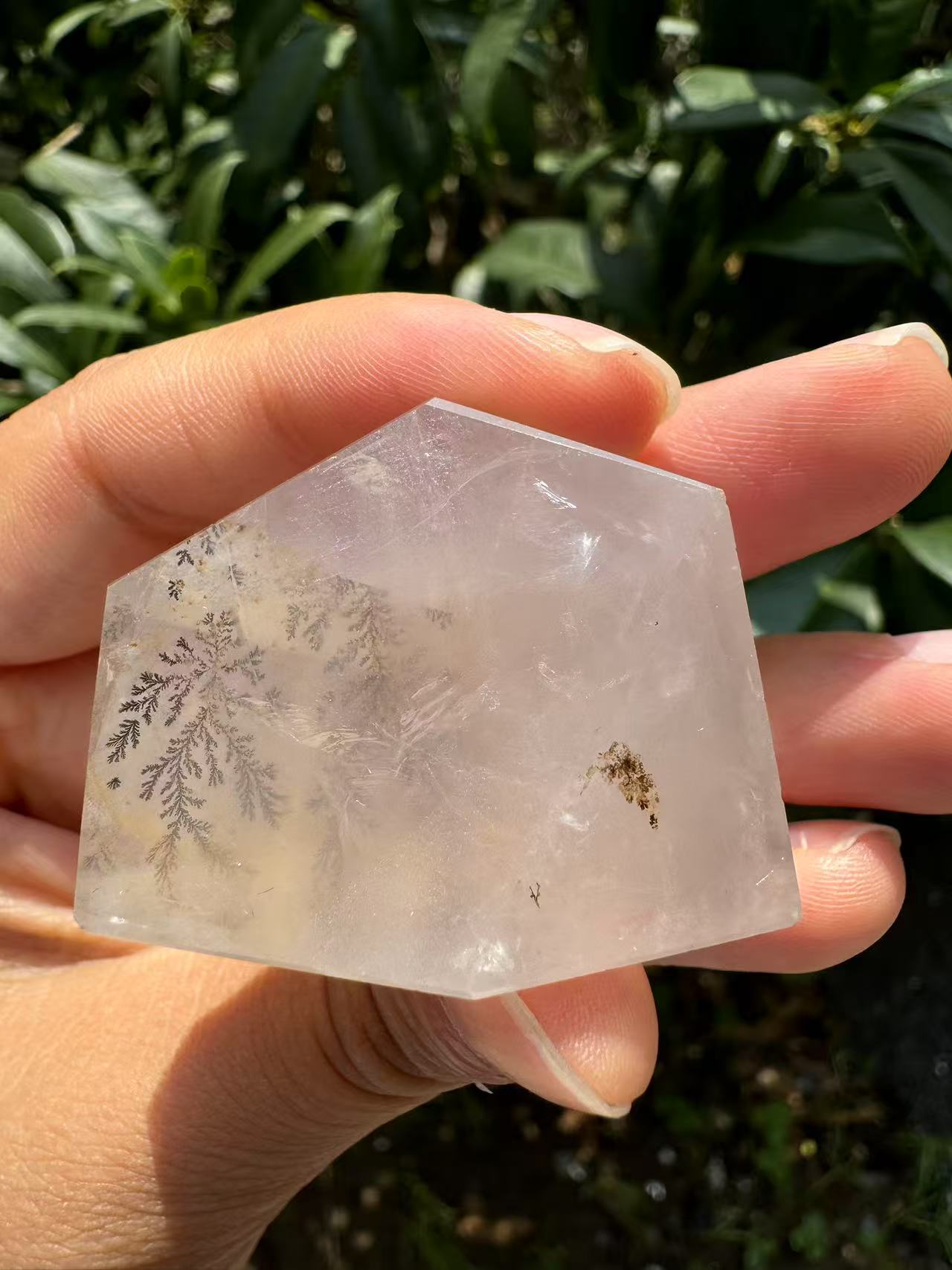 A00140 rare beautiful dentritic tree golden healer