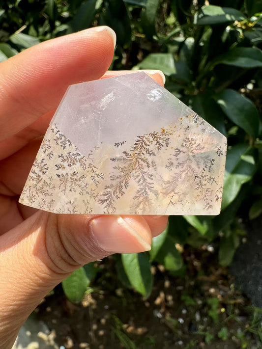 A00140 rare beautiful dentritic tree golden healer