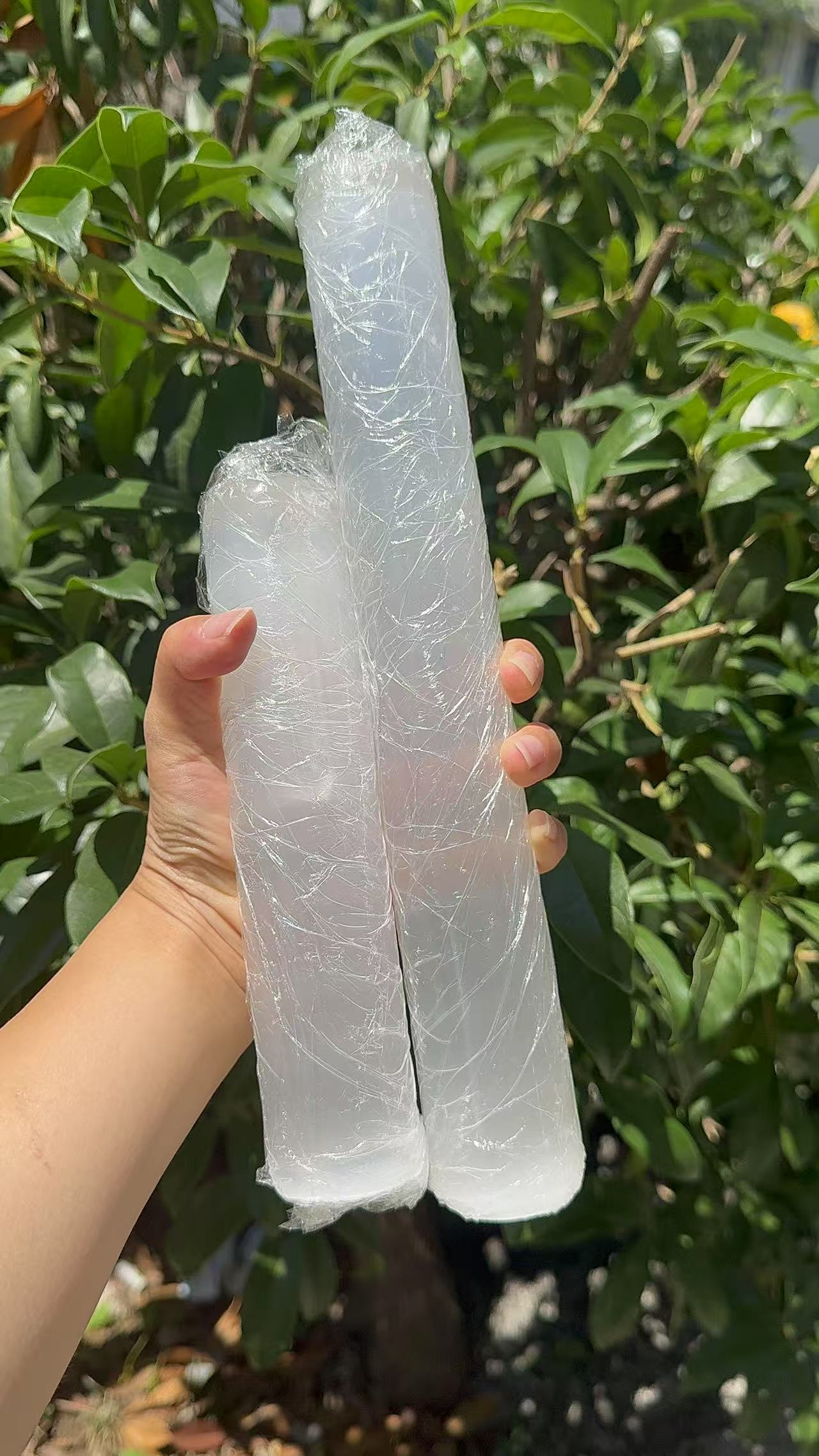 A00156 higher quality long and trunky cylinder shape selenite