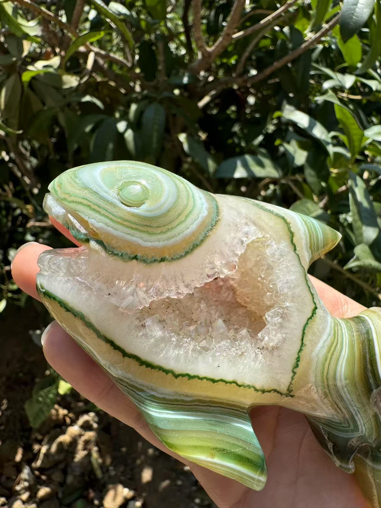 A00170 VERY beautiful druzy green onyx  agate shark animal carving with good painting