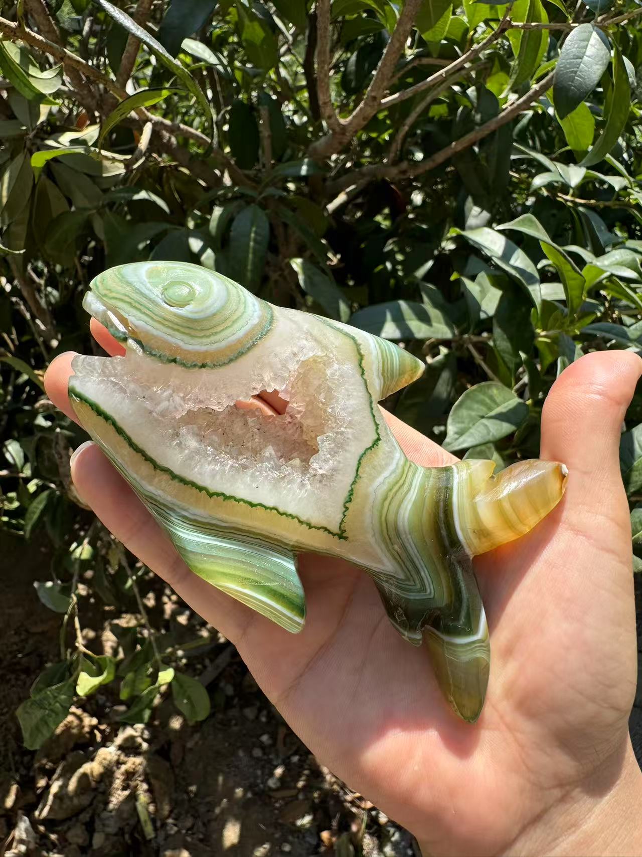 A00170 VERY beautiful druzy green onyx  agate shark animal carving with good painting