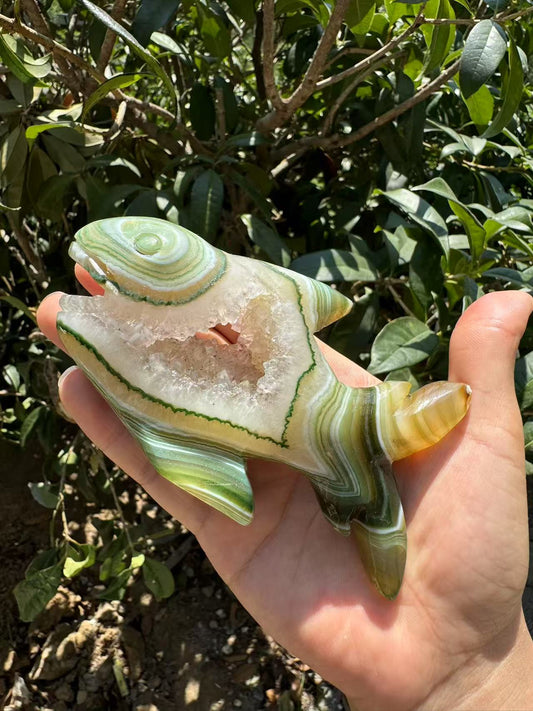 A00170 VERY beautiful druzy green onyx  agate shark animal carving with good painting