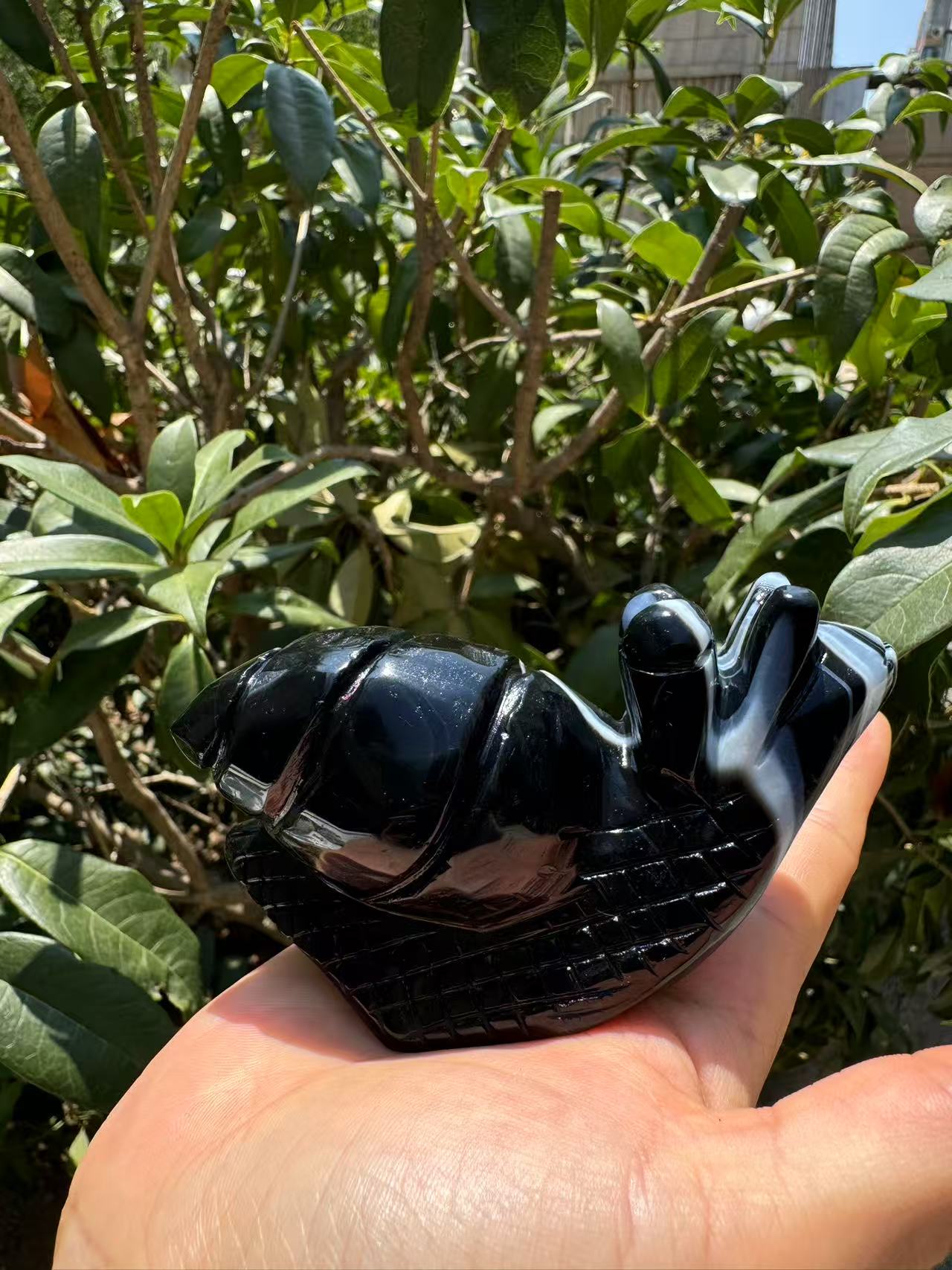 A00172 VERY beautiful druzy black onyx  agate snail animal carving  with good painting