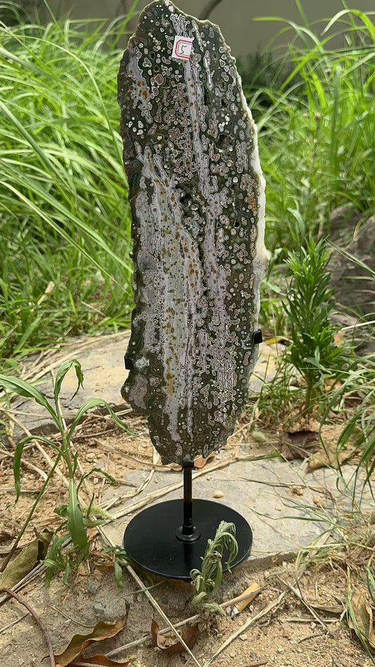 A00206 Rare natural highest quality green druzy geode 8th-ven ocean jasper slab with  pink eyes