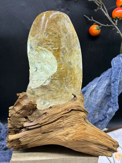A00253 Rare natural super highest quality golden healer twins shell inside amazing rainbow freeform with led wooden holder