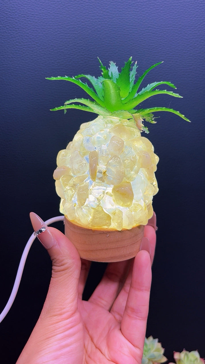 5A 170G LED HANDMADE Pineappie BEDSIDE LAMP DIY DESIGN carving piece