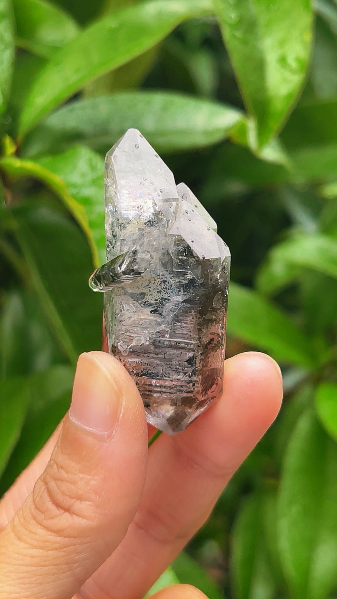 5A 28G Natural CATHEDRAL GOTHIC ARTIST HERKIMER BLACK Double Point SPECIMEN