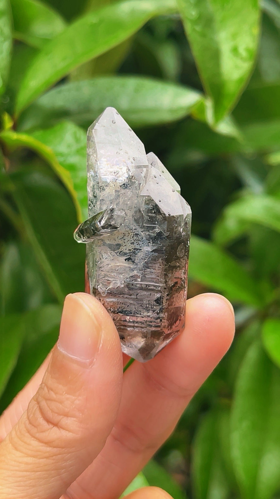 5A 28G Natural CATHEDRAL GOTHIC ARTIST HERKIMER BLACK Double Point SPECIMEN