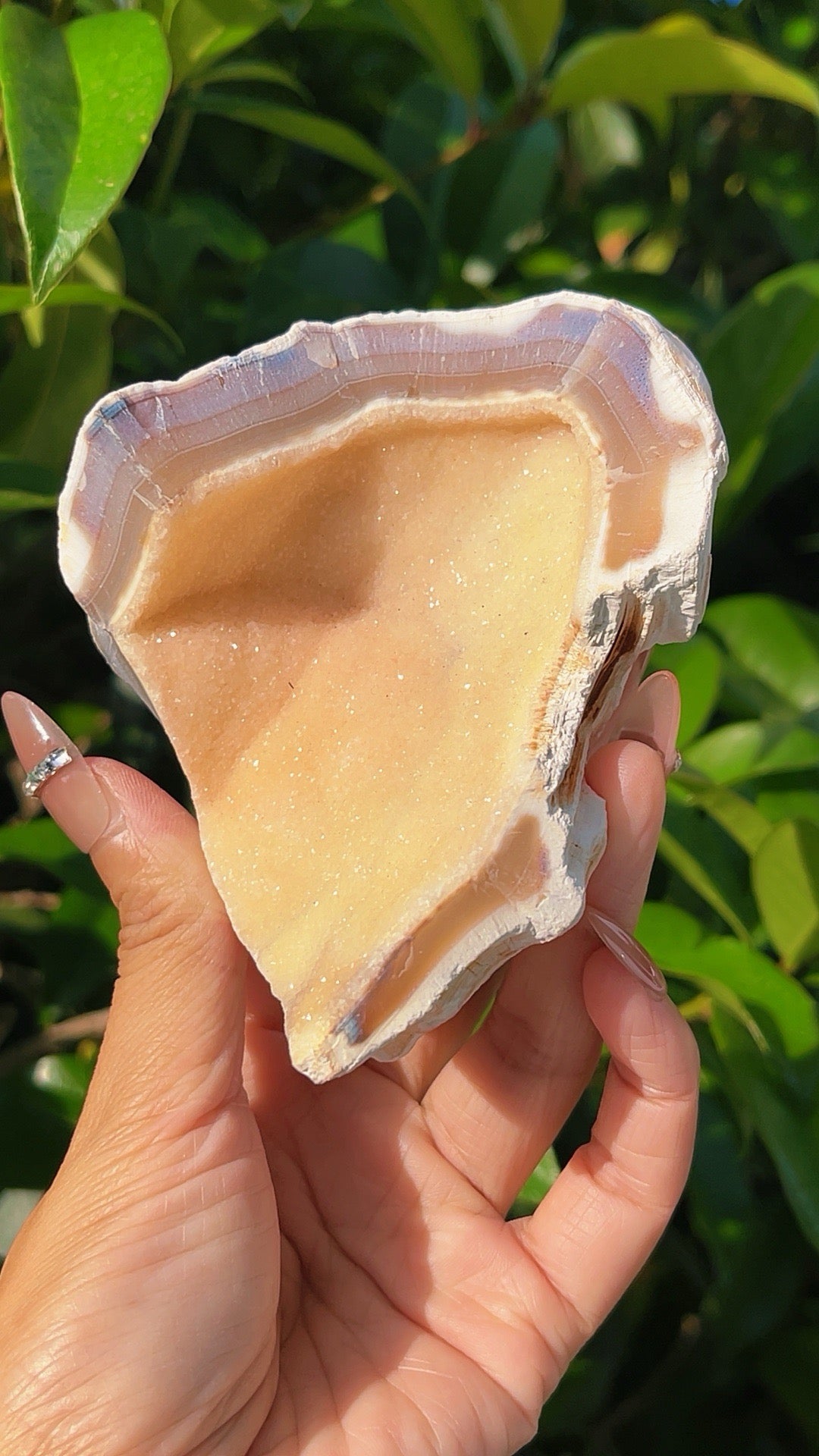 5A  230G Raw Agate  Soft sugar druzy  Crystal geode shell shape home decration