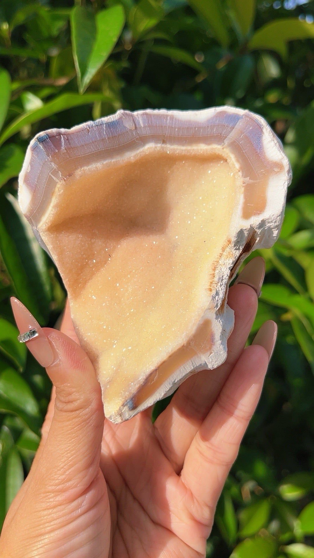 5A  230G Raw Agate  Soft sugar druzy  Crystal geode shell shape home decration