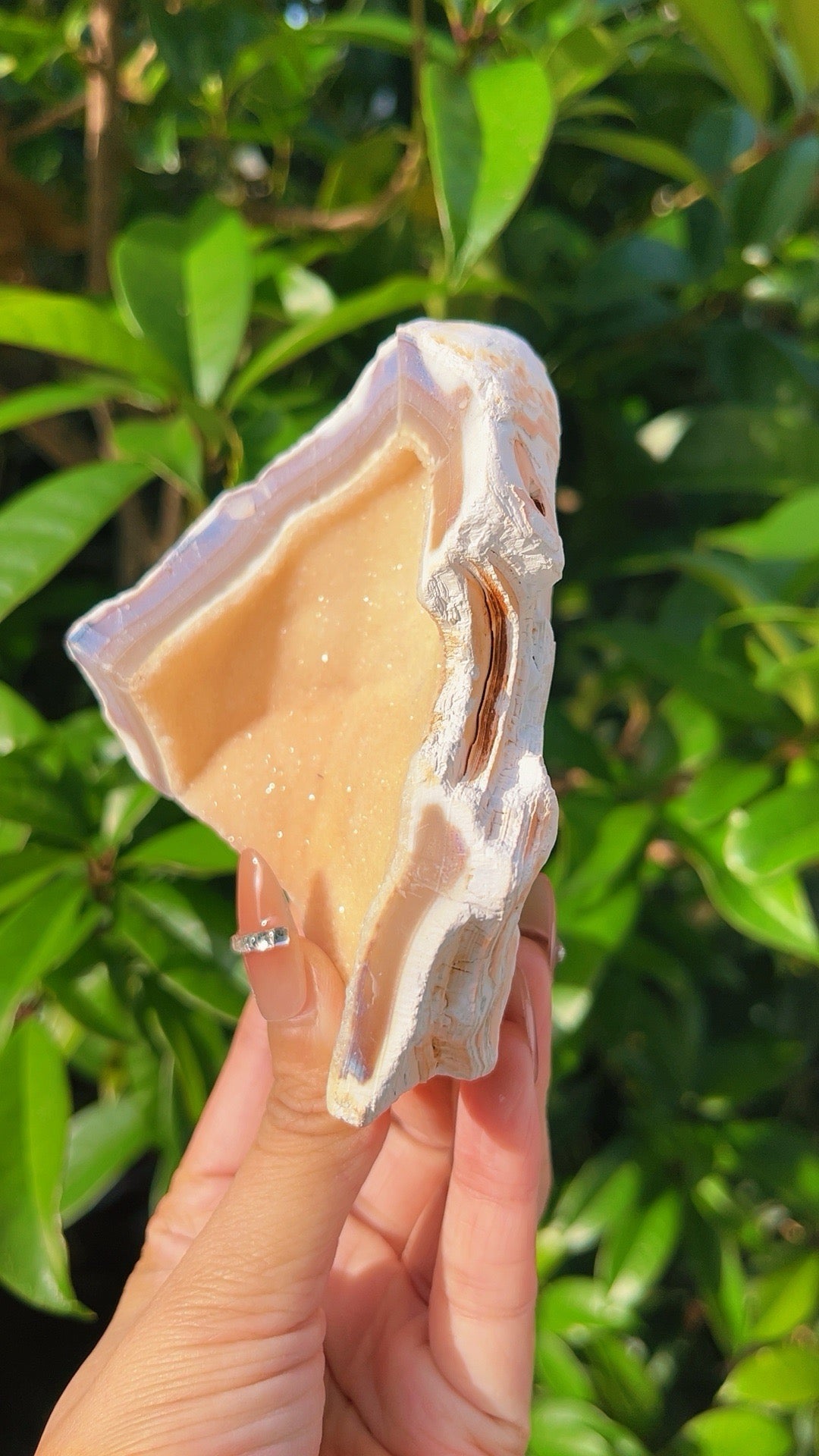 5A  230G Raw Agate  Soft sugar druzy  Crystal geode shell shape home decration