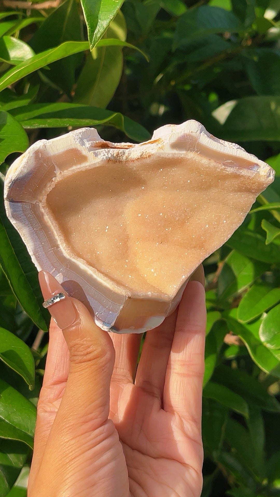 5A  230G Raw Agate  Soft sugar druzy  Crystal geode shell shape home decration