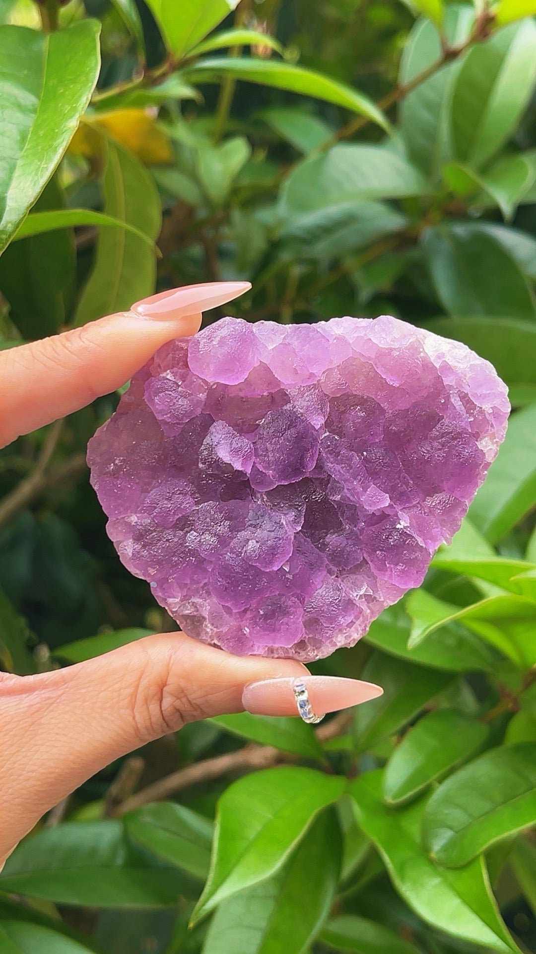 5A  120GExquisite Natural Purple Edge Cubic Fluorite Crystal Specimen | Guizhou