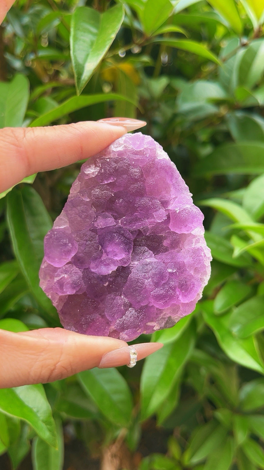 5A  120GExquisite Natural Purple Edge Cubic Fluorite Crystal Specimen | Guizhou