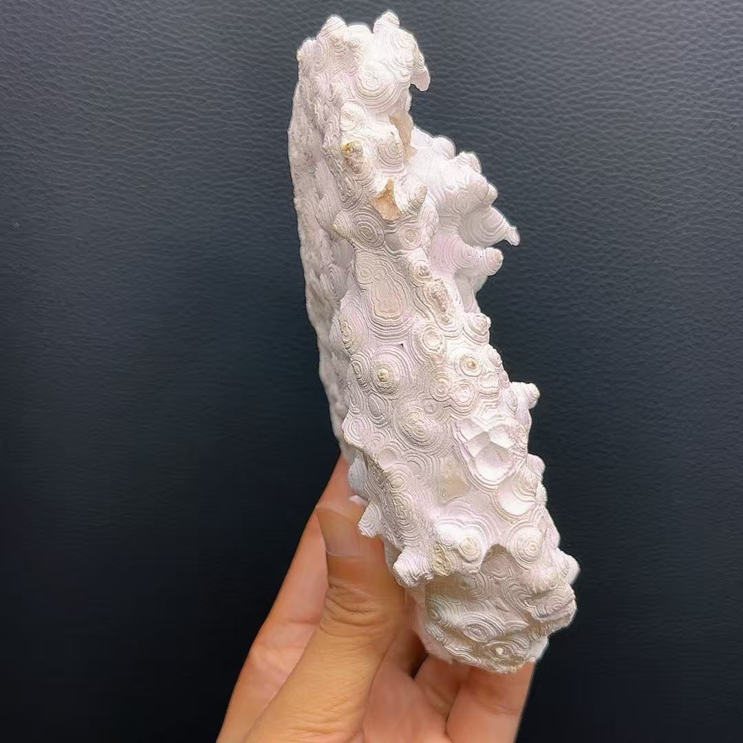 5A480G  High-Grade Mexican Banded Agate