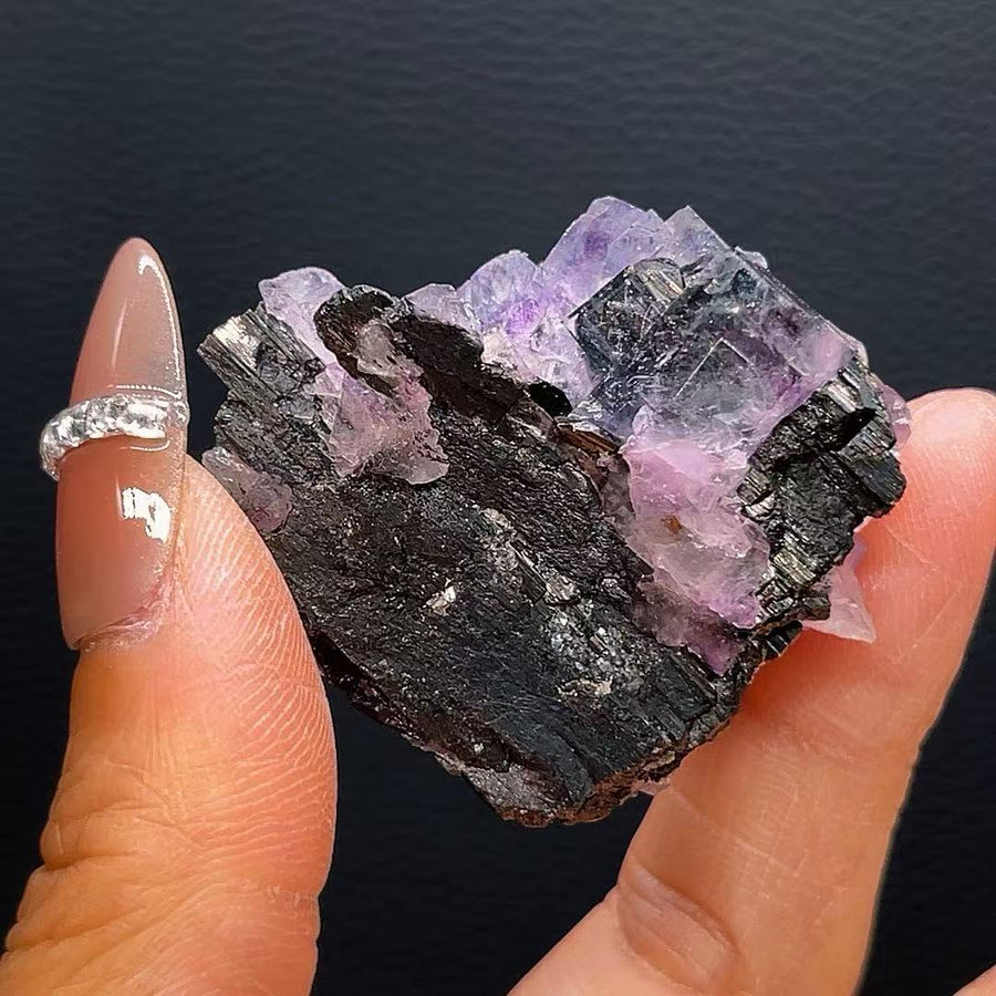 5A40G    Amethyst & Black Tourmaline Intergrowth