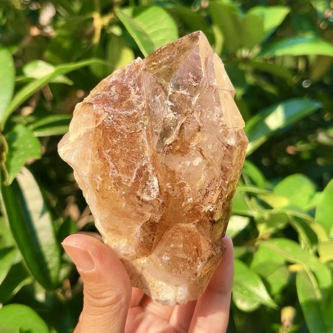 5A 490G    Natural  Citrine Skeleton