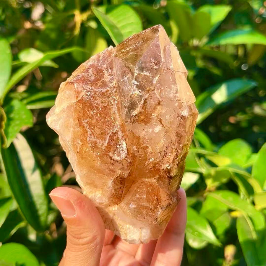 5A 490G    Natural  Citrine Skeleton