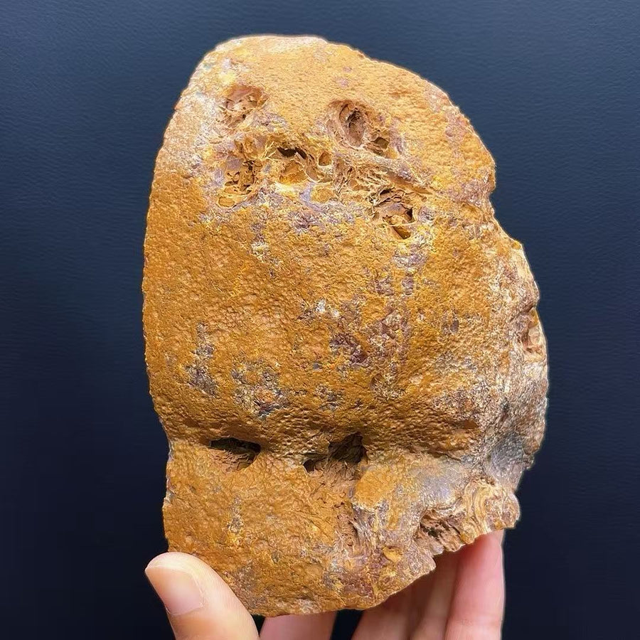 5A640G   Natural Rough Skin Agate Geode