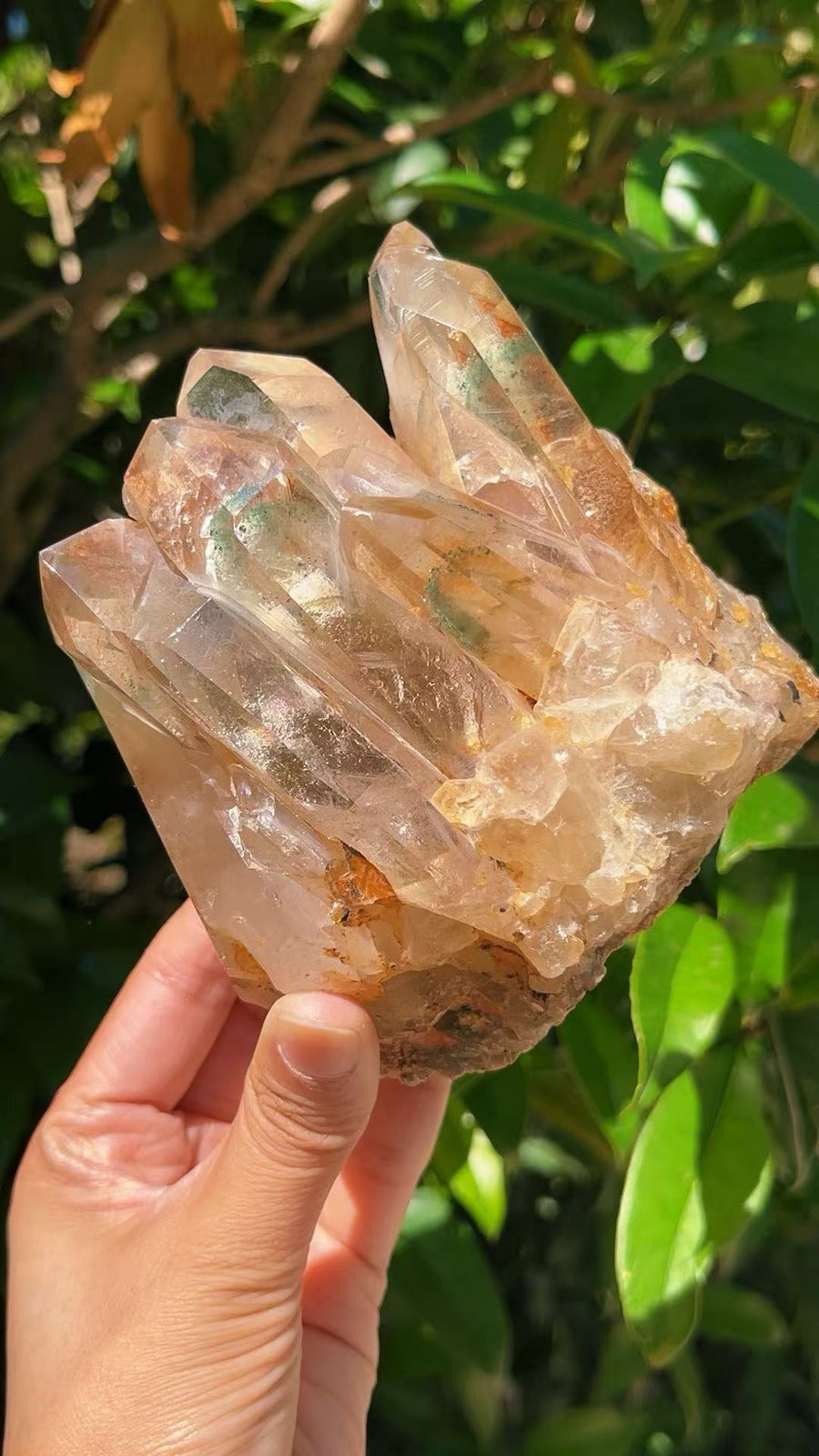 5A 1050G   Garden Quartz  Crystal Cluster