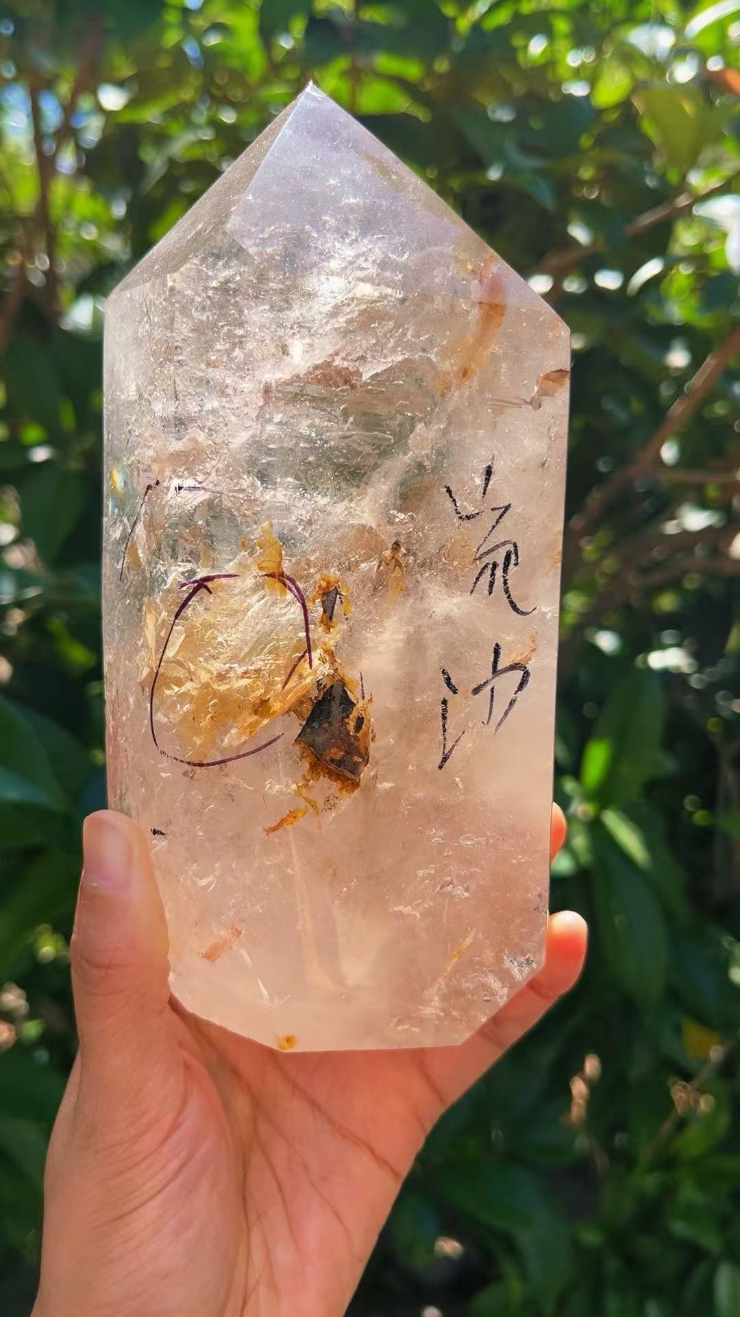 5A  1330G   Golden healer  Sandscape  Crystal Pillar