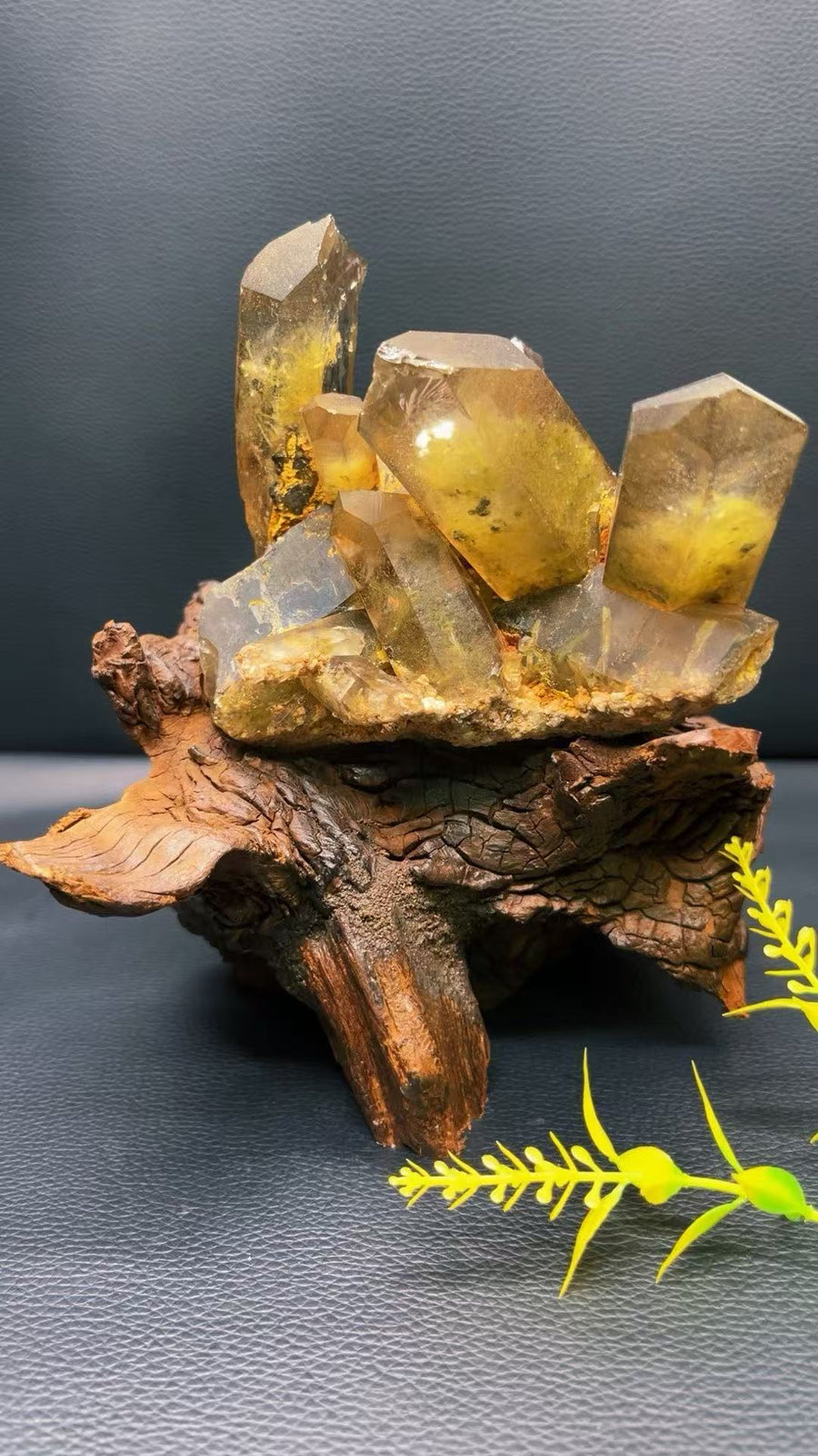 5A 1140G   Garden quartz Black Tourmaline Cluster