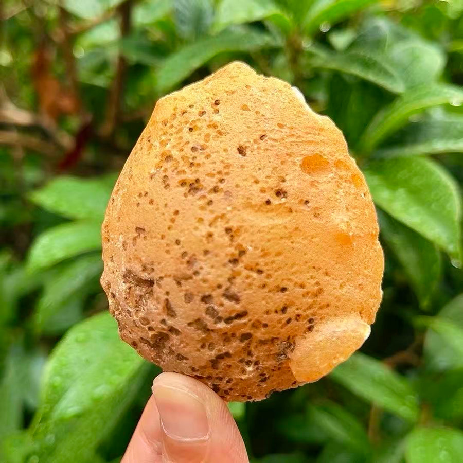 5A110G   Natural Agate Soft Body