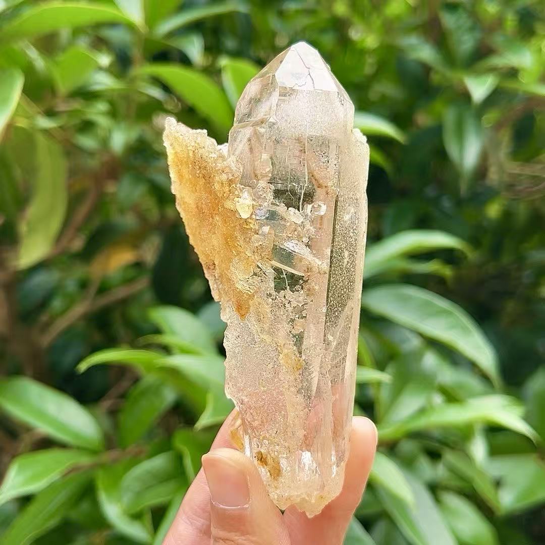 5A 160G   Yellow Flower Inclusion White Quartz Cluster Ornament