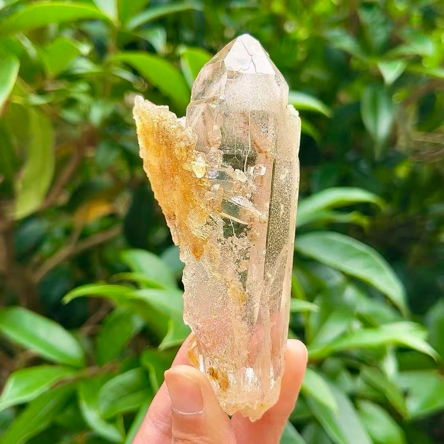 5A 160G   Yellow Flower Inclusion White Quartz Cluster Ornament