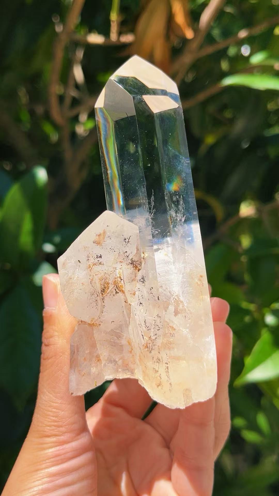 5A 550G      Clear Quartz Cluster