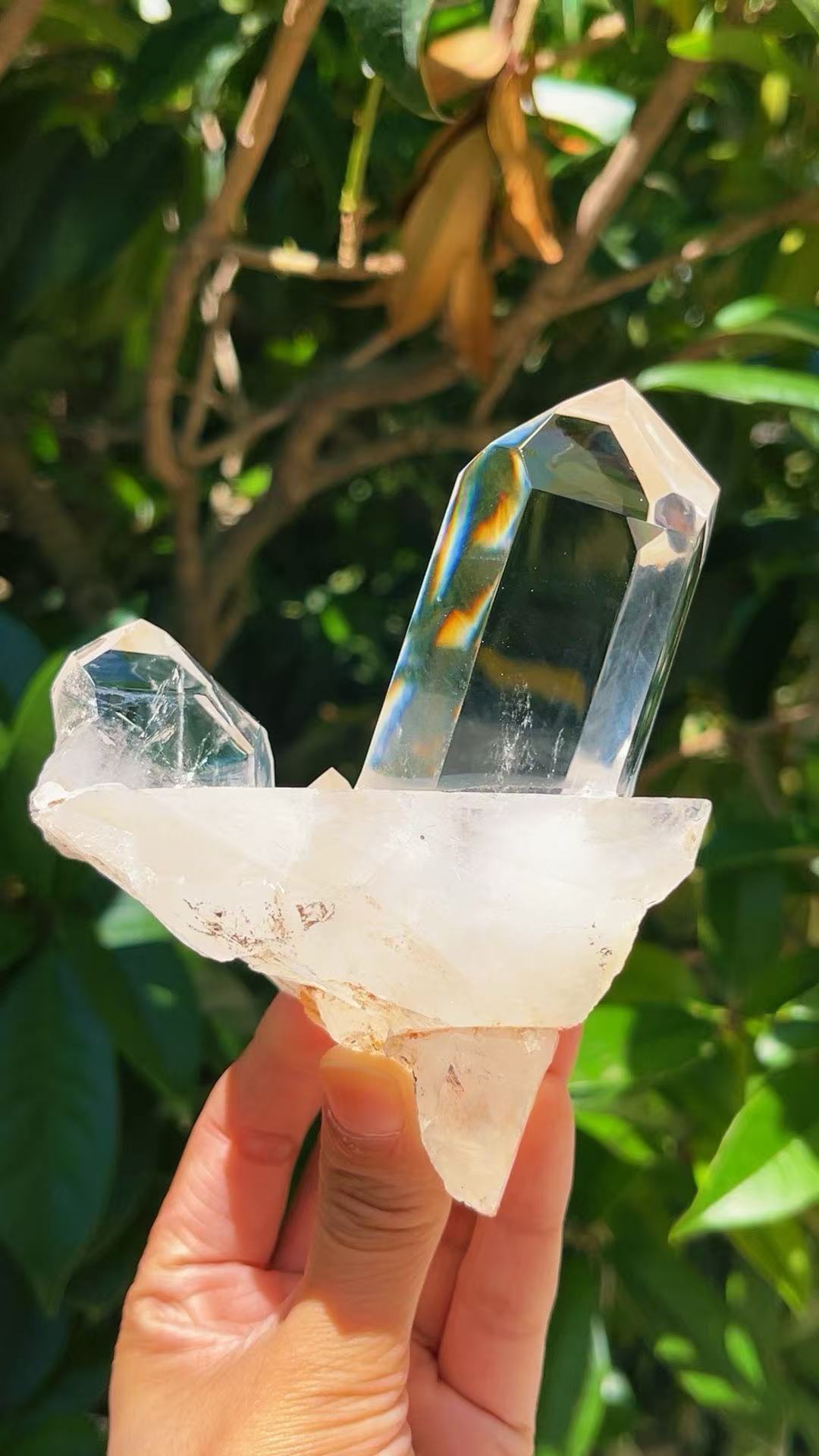 5A 550G      Clear Quartz Cluster