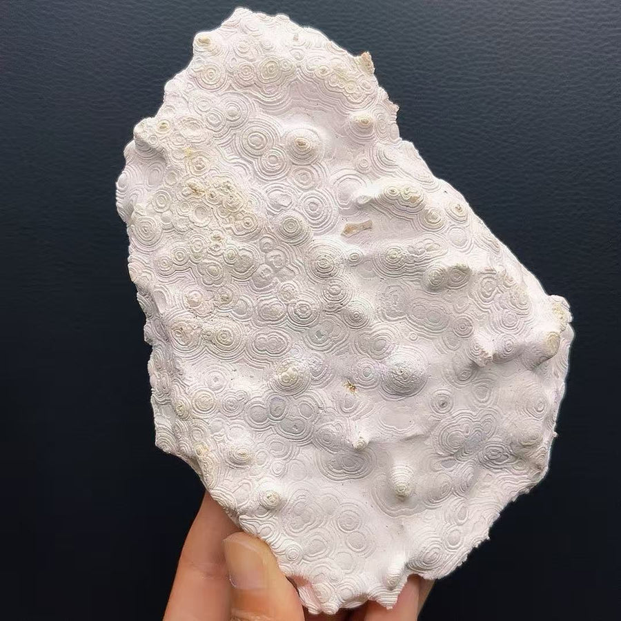 5A480G  High-Grade Mexican Banded Agate