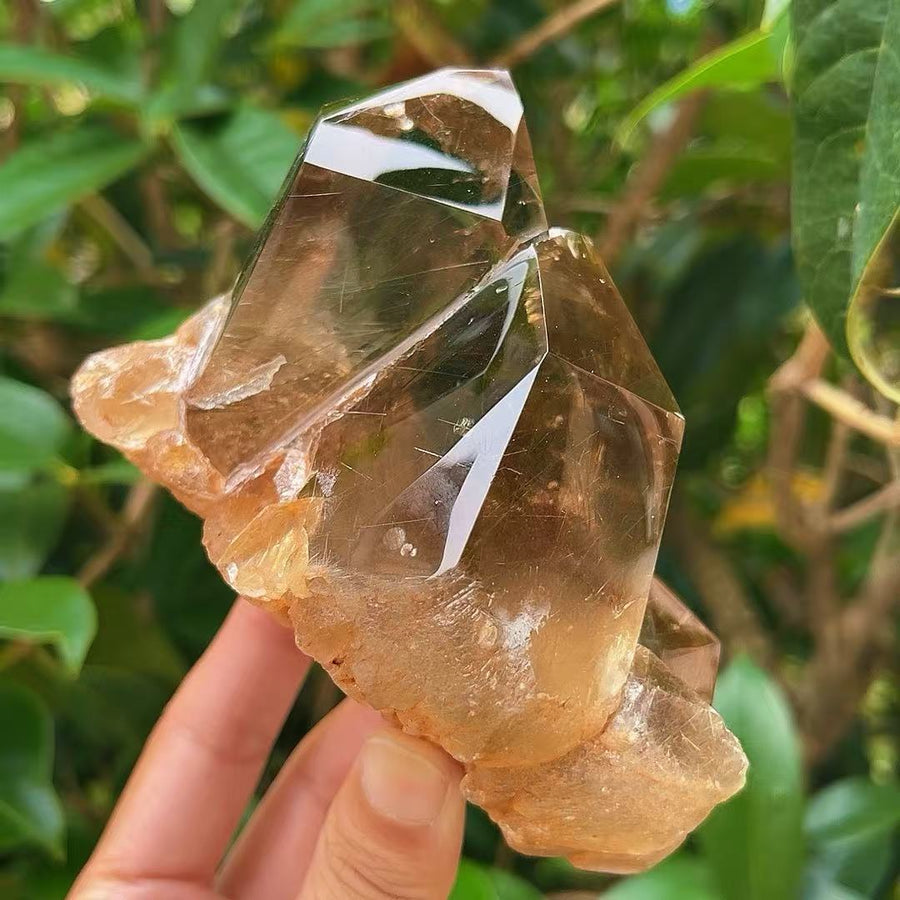 5A 650G   Black Rutilated & Smoky Quartz Cluster Ornament