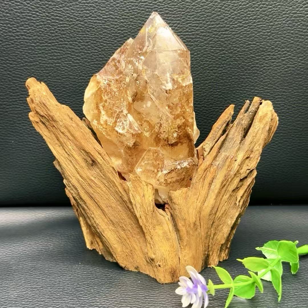 5A 490G    Natural  Citrine Skeleton