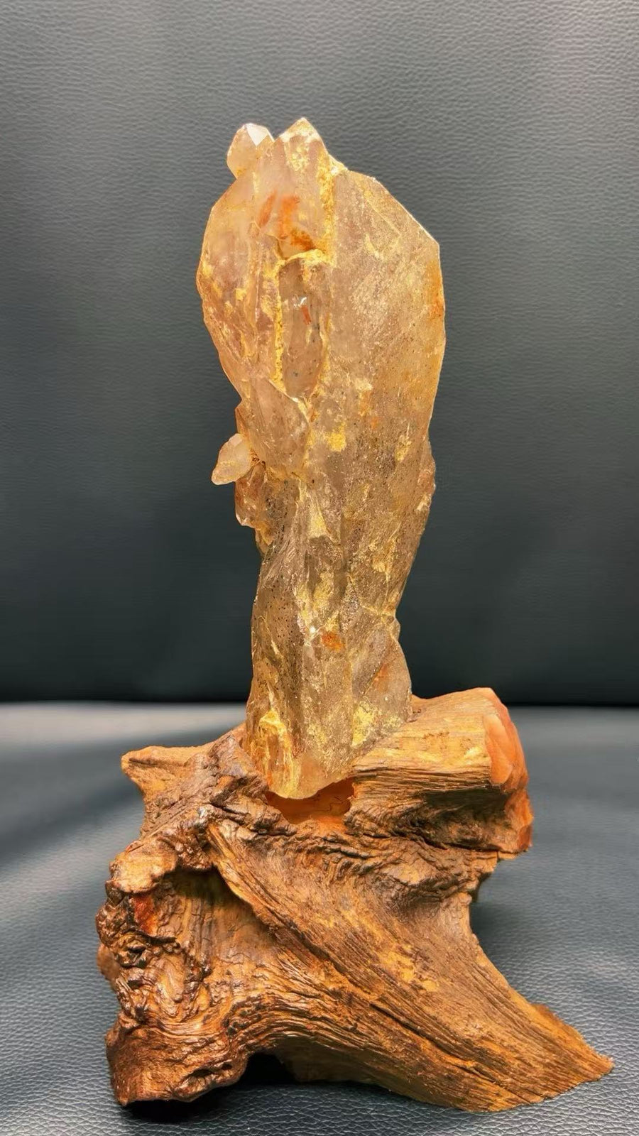 5A 1530G   Natural Red Mud  Sea Bone