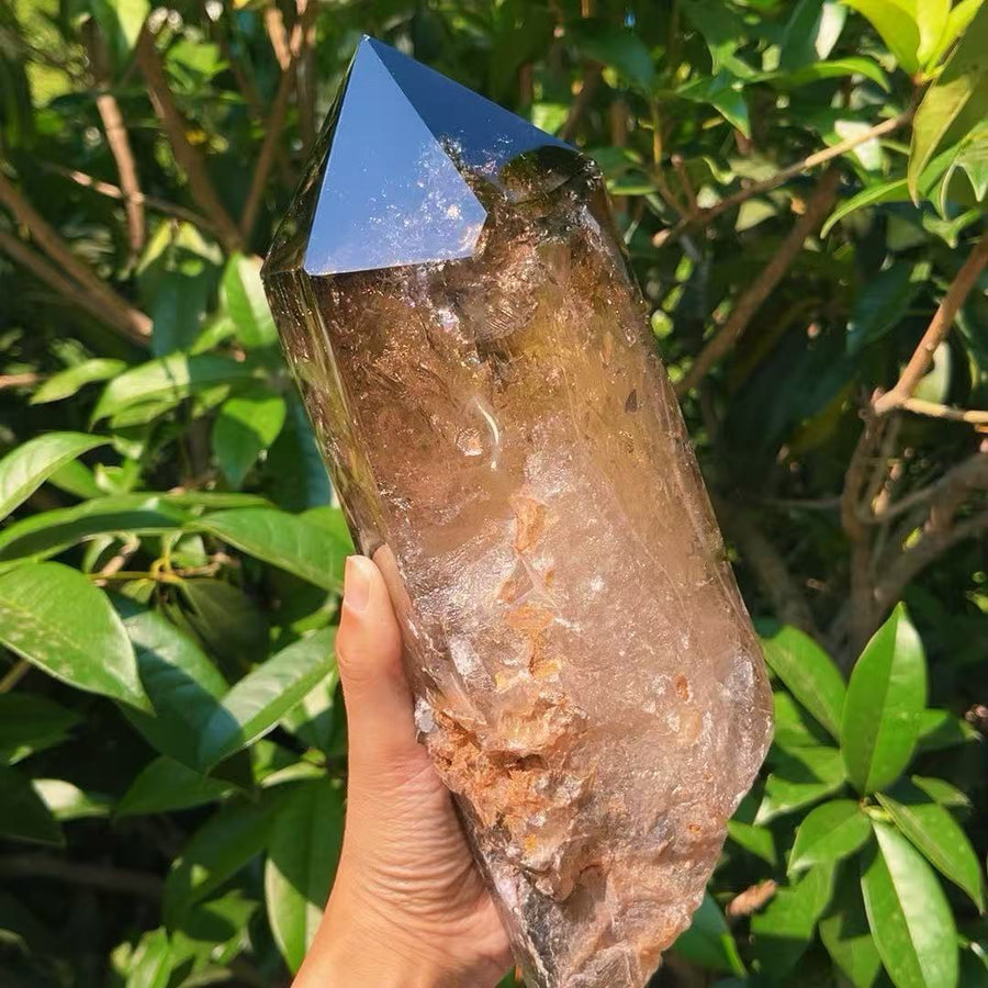 5A 3300G    High-clarity Natural  Smooky Quartz Large Point
