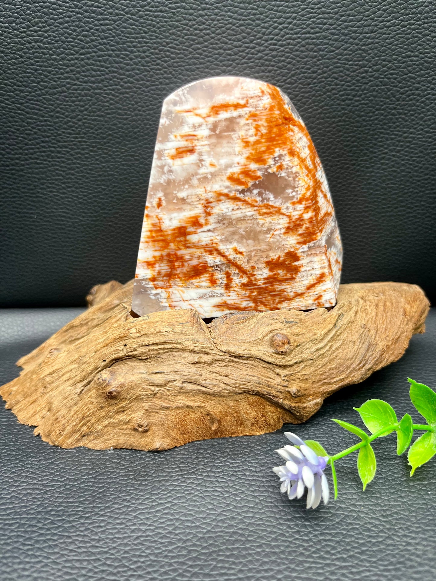 5A 410G   Natural Pink phantom Natural  ornament