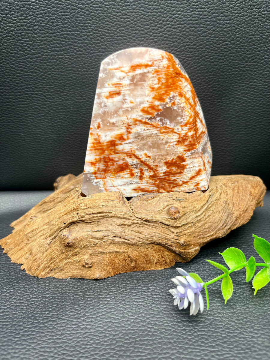 5A 410G   Natural Pink phantom Natural  ornament