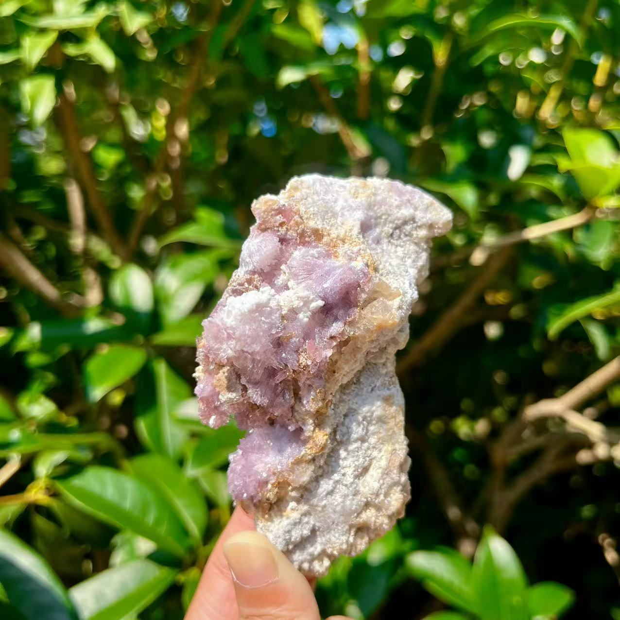 5A200G    Lavender Selenite / Purple-Pink Selenite