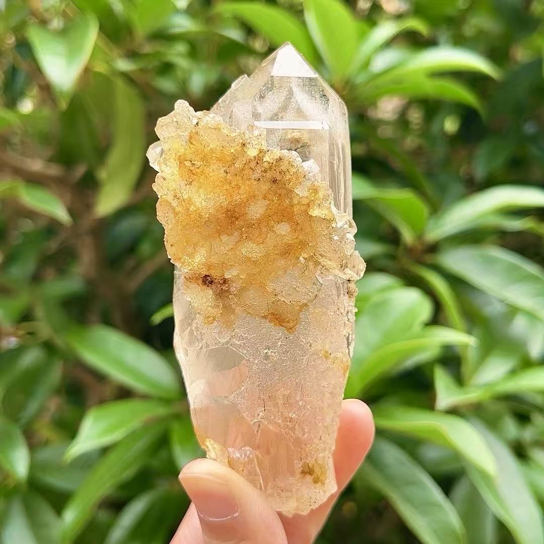 5A 160G   Yellow Flower Inclusion White Quartz Cluster Ornament