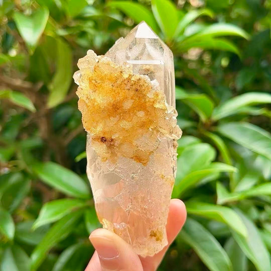 5A 160G   Yellow Flower Inclusion White Quartz Cluster Ornament