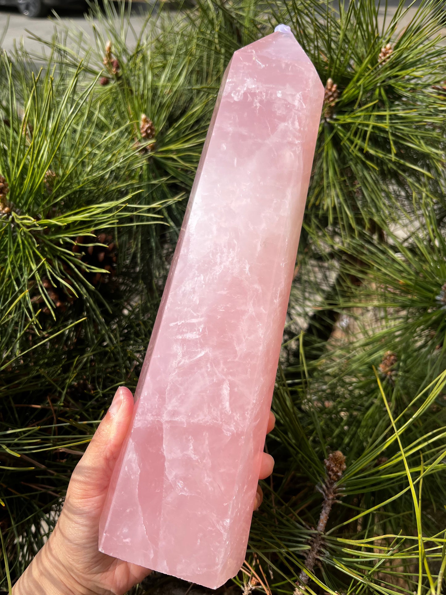 5A 2690G   Natural Rose Quartz Column